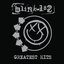 Blink 182 Greatest Hits