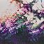 Blossom