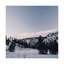 Home - Single