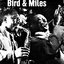 Bird & Miles