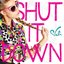 Shut It Down - Single