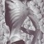 Chronicity of a Disease