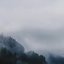 Silences