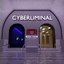 CYBERLIMINAL