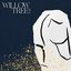 Willow Tree - Single