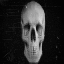Awatar dla MentallyBlinded