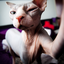 Avatar for dorsonn