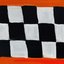 The Race
