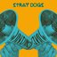 Stray Dogs