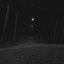wandering