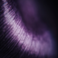 Avatar de inwardoutburst
