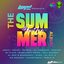 Liquid Tribe Presents The Summer Tribe Album