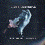 Sadness (Saint Tropez Caps Remix)