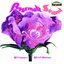 Rosemalt Sound