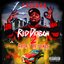 Red Dragon 2