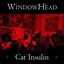 Cat Insulin
