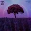 Planetary Bliss - Single