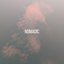 Nomadic - Single
