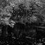 Nostalgic Darkness