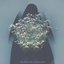 Purgatory Unknown - Single