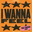 I Wanna Feel (Paige Tomlinson Remix)