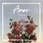 Amor