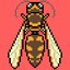 Murder Hornets