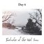 Footnotes of the Wet Snow