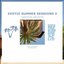 Exotic Summer Sessions 2