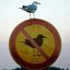 andstayout!