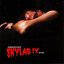 Skylab IX - Ao Vivo