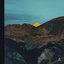 Canary - Single