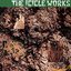 The Icicle Works (De-luxe)