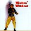 Wailin' Wildcat
