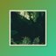Kalimba Jungle