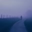 muted whispers