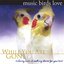 Music Birds Love: While You Are Gone