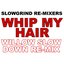 Whip My Hair (Willow Slow Down Re-Mix)