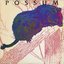 Possum