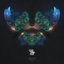 Celestial Safari - Single