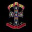 Appetite For Destruction (UK Mid Price)