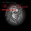 W.A. Mozart: Reincarnated (Lion Music Presents)