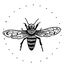 Avatar for ainize182