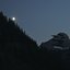 Moss and Moon