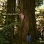 Taller than the Trees [Explicit]