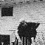Wake - EP