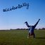 Accidentally