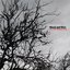 Wood and Wire (Live in the Nickson Room)