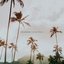 summer breeze