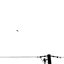 Salvia Divinorum [Explicit]